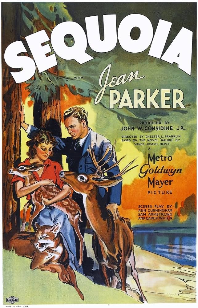 Sequoia (1934) - Jean Parker DVD