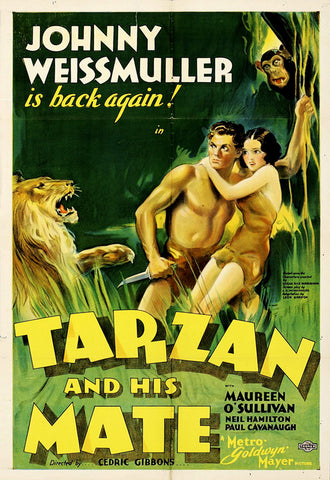 Tarzan And His Mate (1934) - Johnny Weissmuller  Colorized Version DVD
