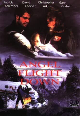 Angel Flight Down (1996) - Christopher Atkins DVD