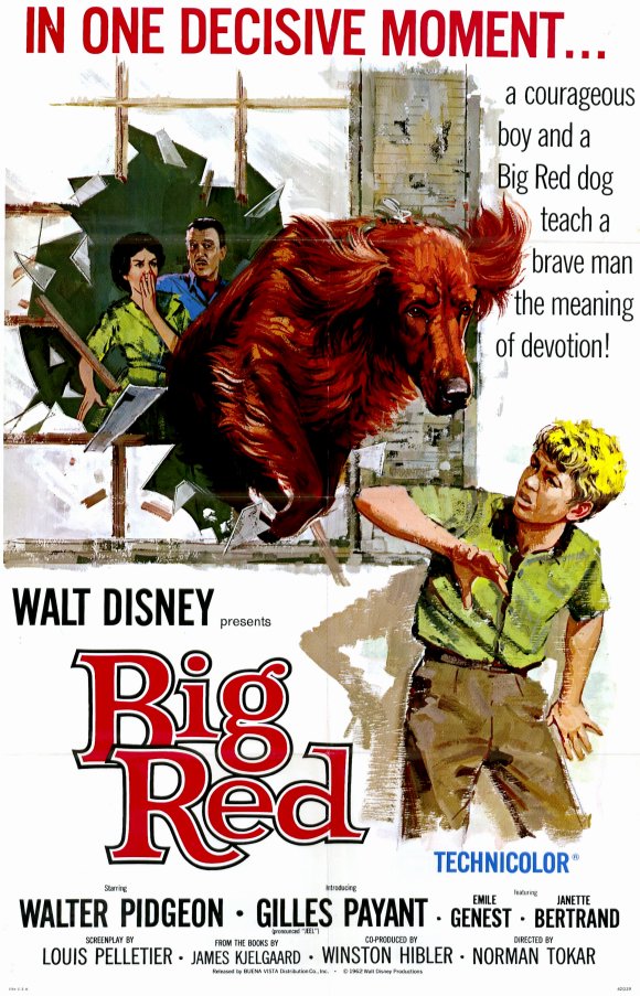 Big Red (1962) - Walter Pidgeon DVD