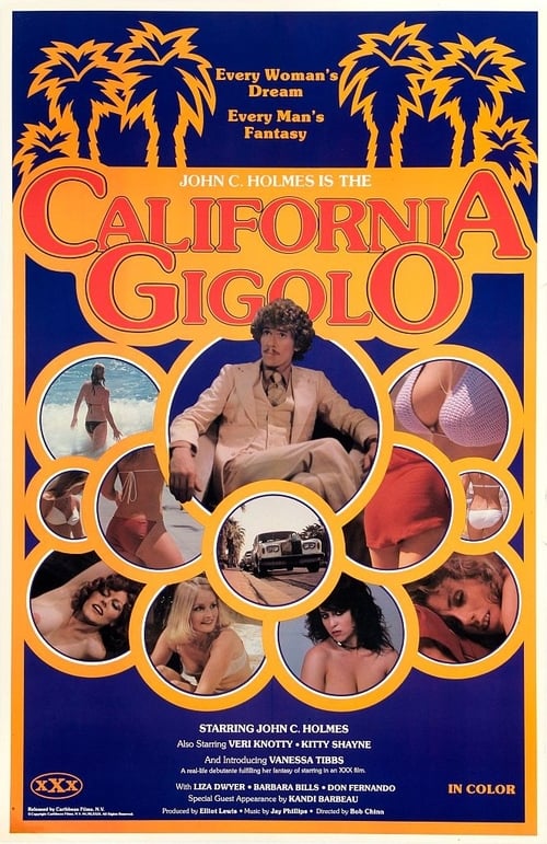 California Gigolo (1979) - John Holmes DVD
