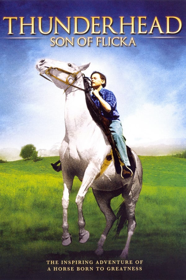 Thunderhead : Son Of Flicka (1945) - Roddy McDowall DVD