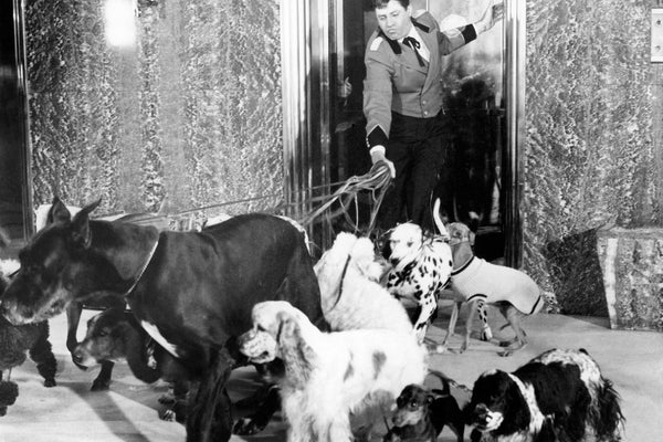 The Bellboy (1960) - Jerry Lewis  DVD