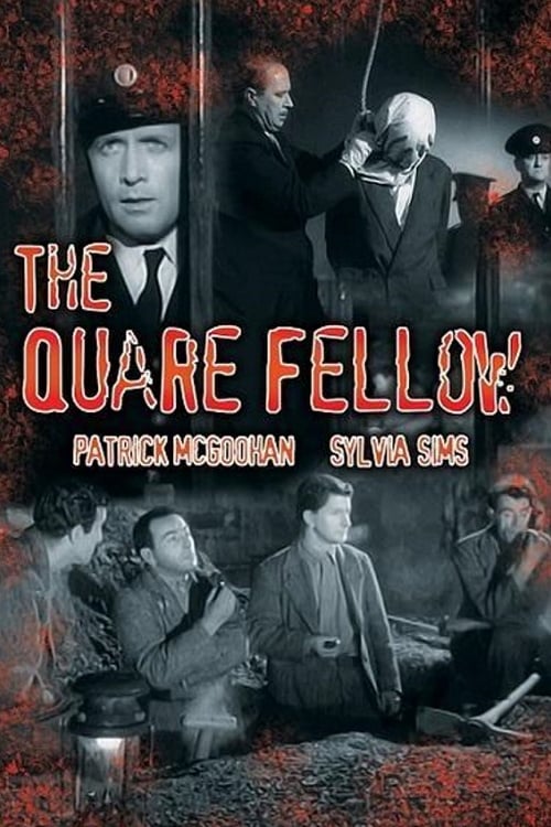 The Quare Fellow (1962) - Patrick McGoohan  DVD