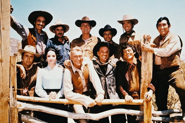 High Chaparral (1967) : The Complete Series - Leif Erickson ( 26 DVD Box Set )