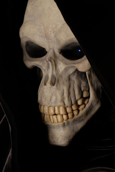 Hogfather (2006) - David Jason  Blu-ray  codefree