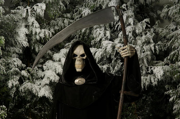 Hogfather (2006) - David Jason  Blu-ray  codefree