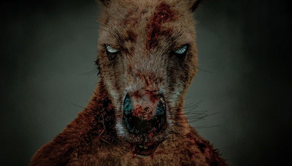 Rippy (2024) - Michael Biehn Limited STEELBOOK Edition 4K UHD + Blu-ray