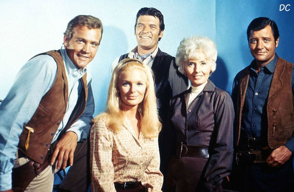 The Big Valley : The Complete Series (1965) - Barbara Stanwyck ( 30 DVD Box Set )