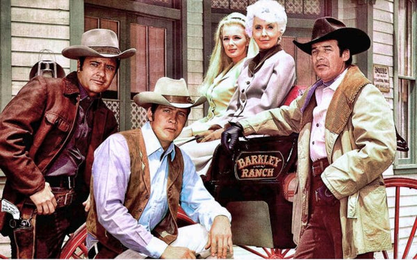 The Big Valley : The Complete Series (1965) - Barbara Stanwyck ( 30 DVD Box Set )