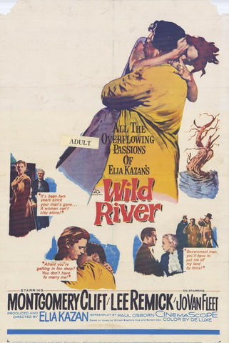 Wild River (1960) - Montgomery Clift