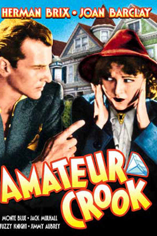 Amateur Crook (1937) - Bruce Bennett  DVD