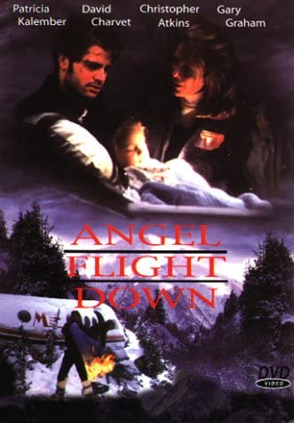 Angel Flight Down (1996) - Christopher Atkins  DVD