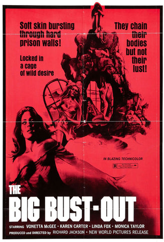 The Big Bust Out (1972) - Tony Kendall  DVD
