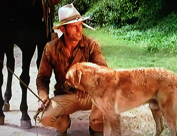 Hondo : The Complete TV Series (1967) - Ralph Taeger  ( 4 DVD Set )
