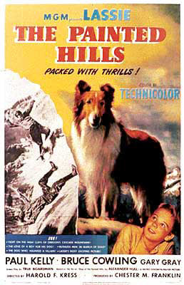 Lassie : The Painted Hills (1951) - Paul Kelly  DVD