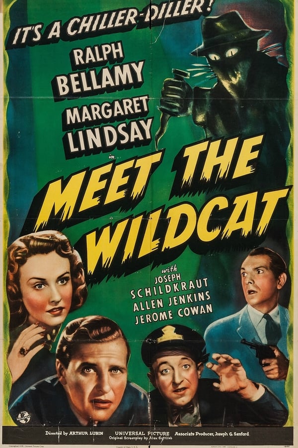 Meet The Wildcat (1940) - Ralph Bellamy  DVD