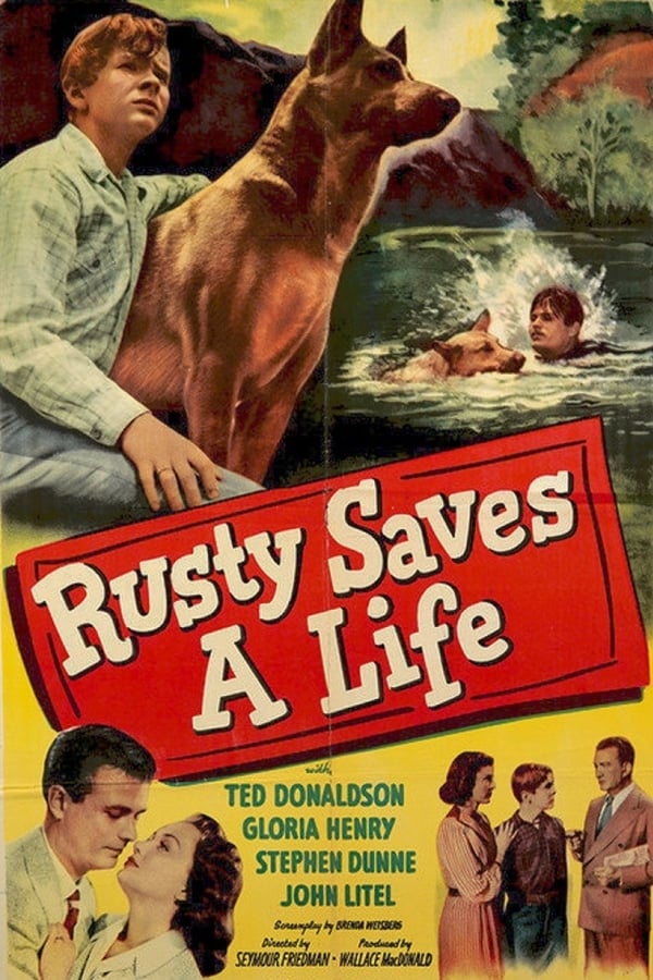 Rusty  : Rusty Saves A Life (1949) - Ted Donaldson  DVD