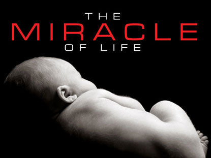 The Miracle Of Life (1996) - Lennart Nilsson DVD