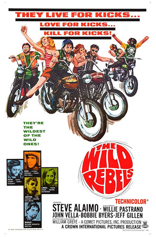 The Wild Rebels (1967) - Steve Alaimo  DVD