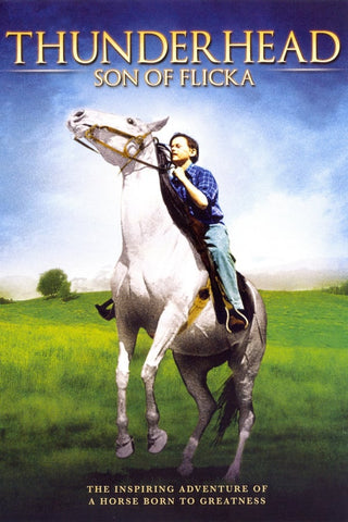 Thunderhead : Son Of Flicka (1945) - Roddy McDowall  DVD
