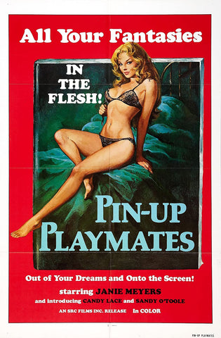 Vacation Temptations (1972) - Rena Bergen  DVD