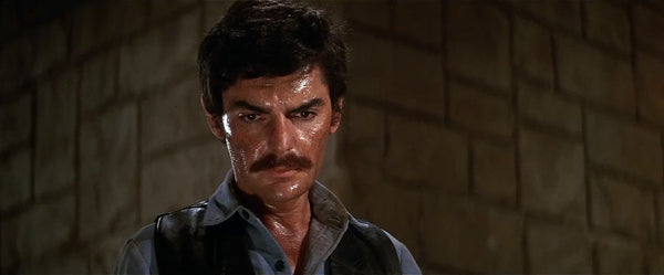 Westworld (1973) - Yul Brynner  Blu-ray