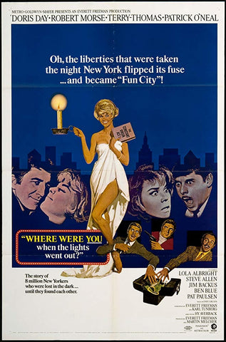 Where Were You When The Lights Went Out (1968) - Doris Day  DVD