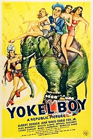 Yokel Boy (1942) - Albert Dekker  DVD