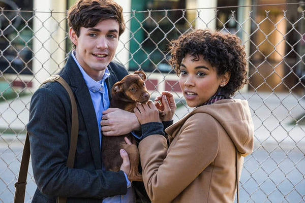 A Dog´s Way Home (2018) - Ashley Judd  DVD