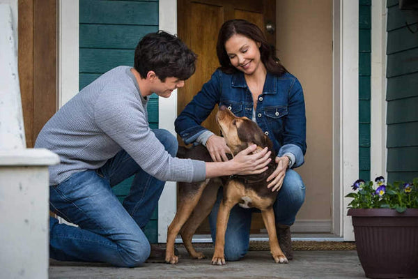 A Dog´s Way Home (2018) - Ashley Judd  DVD