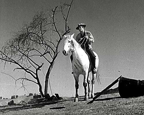 Bronco (1958) : The TV Series - Ty Hardin ( 3 DVD Set)