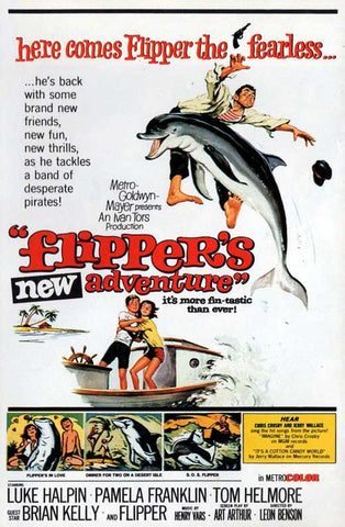 Flipper (1963) - Chuck Connors  DVD