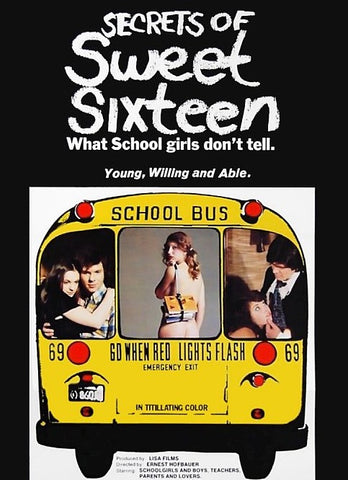 Secrets Of Sweet Sixteen (1973) - Ernst Hofbauer  DVD