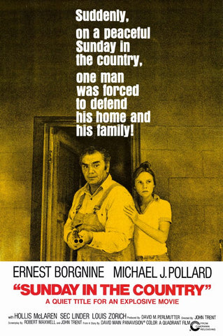 Sunday In The Country (1974) - Ernest Borgnine  DVD