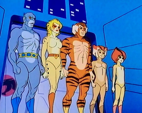 ThunderCats : The Complete Series (1985-1989)  16 DVD Set
