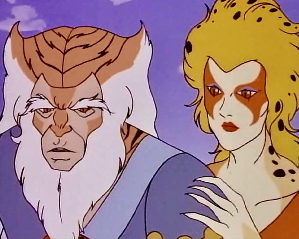 ThunderCats : The Complete Series (1985-1989)  16 DVD Set