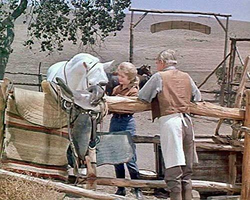 Tales Of Wells Fargo : TV Series - Dale Robertson   DVD