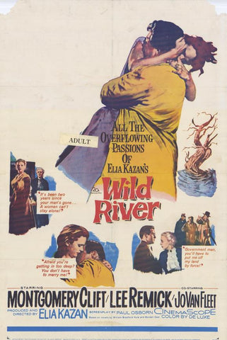 Wild River (1960) - Montgomery Clift  DVD